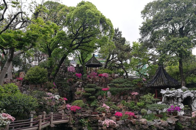 Private Shanghai Layover Tour to Zhaojialou Water Town With City Highlights - Review and Ratings
