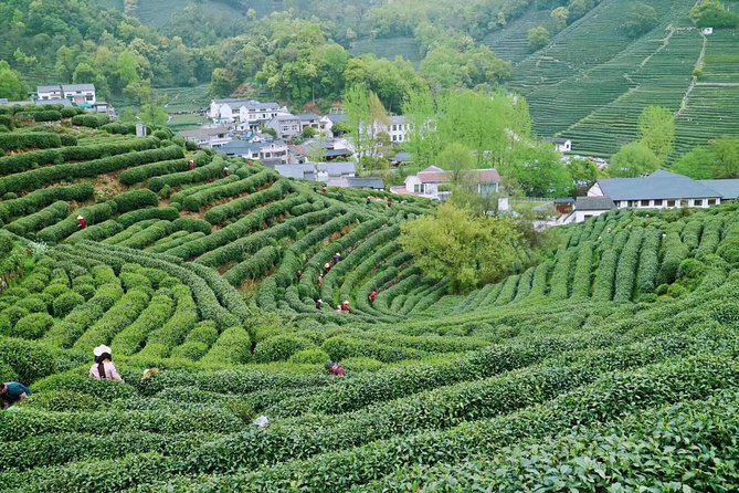 Private Shanghai to Hangzhou Bullet Train Day Trip Extravaganza - Pricing and Inclusions