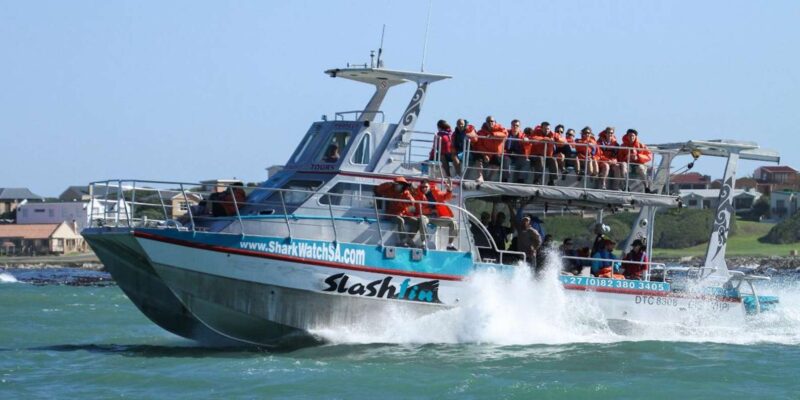 Private Shark Cage Diving - Itinerary Details