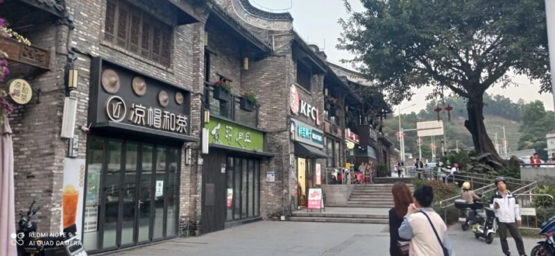 Private Shenzhen Day Tour From Hong Kong - Participant Information and Accessibility
