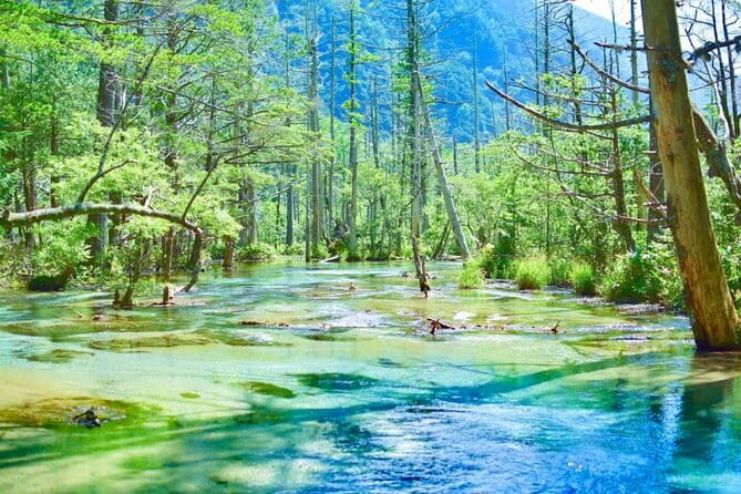 Private Shinhotaka Ropeway and Kamikochi Tour - What to Expect on the Tour