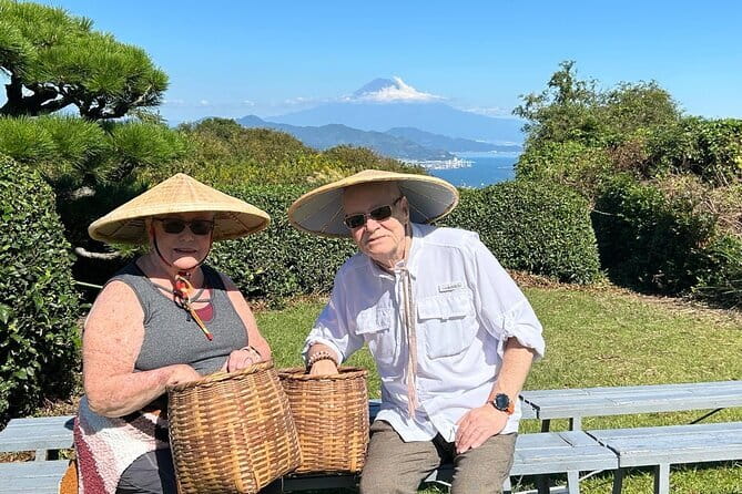 Private Shizuoka Tour From Shizuoka Station / Sedan Taxi - Getting There