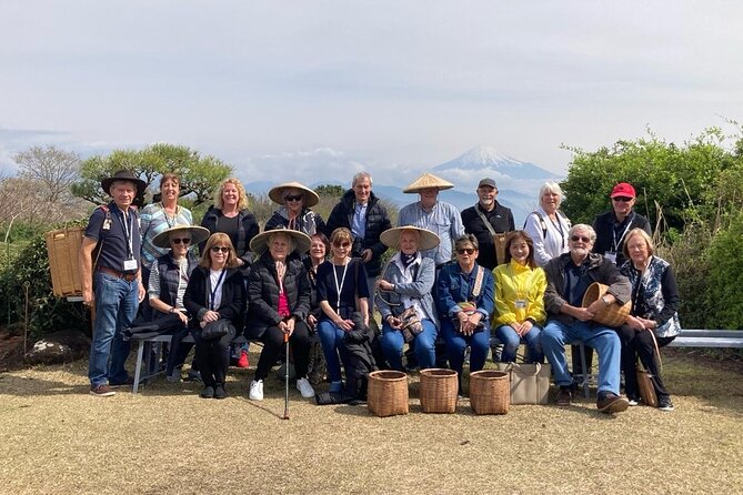 Private Shizuoka Tour From Shizuoka Station /Small Bus - Inclusions