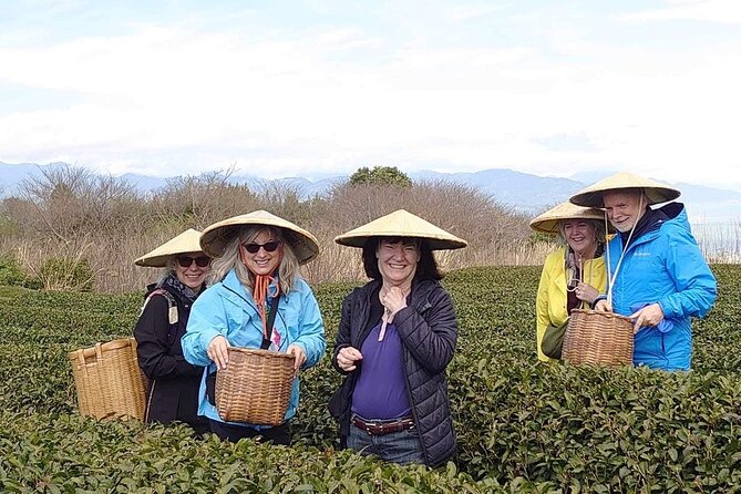 Private Shizuoka Tour From Shizuoka Station /Small Bus - Transportation and Guide Service