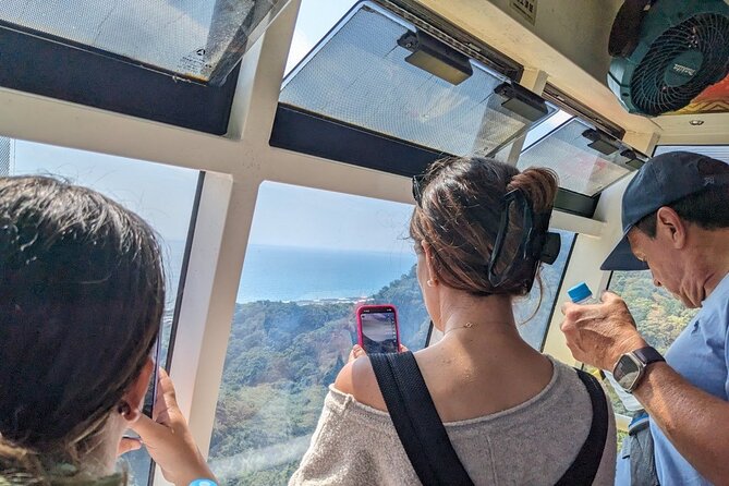 Private Shizuoka Tour From Shizuoka Station / Van Taxi - Inclusions