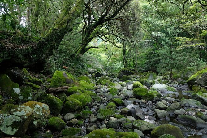Private Shopping Tour From Hakone City to Grandberry Park - Shopping Opportunities