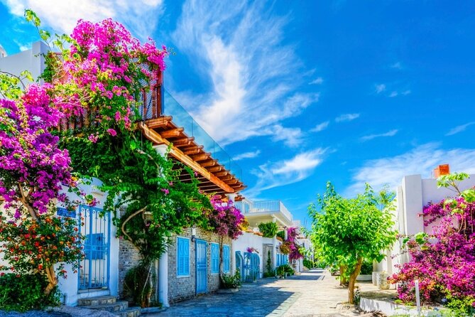 Private Shopping Tour in Bodrum City - Exploring Bodrums Vibrant Marketplaces