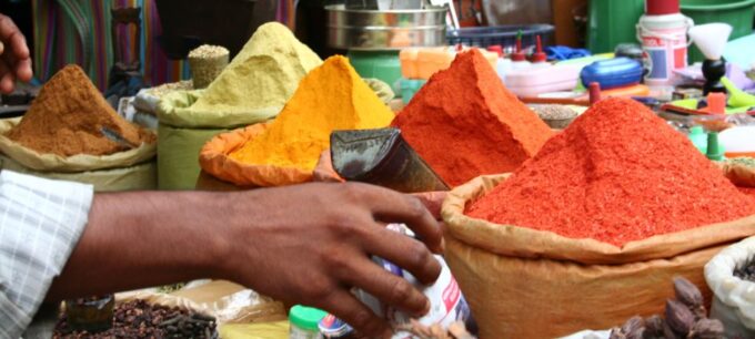 Private Shopping Tour in New Delhi - Guide Insights