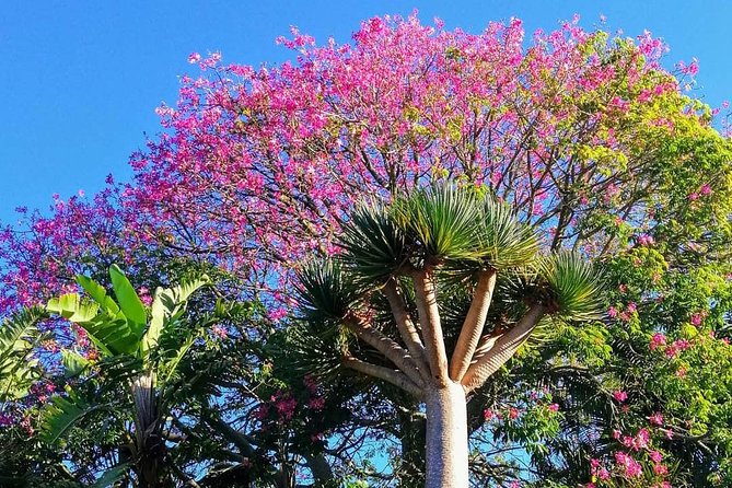 Private Shore Excursion: Bay of Islands Tour With Wine Tasting - Operating Hours