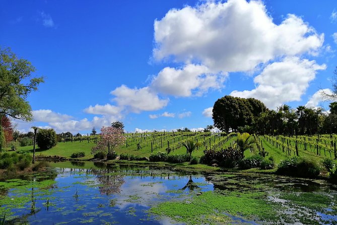 Private Shore Excursion: Bay of Islands Tour With Wine Tasting - Highlights of the Bay of Islands