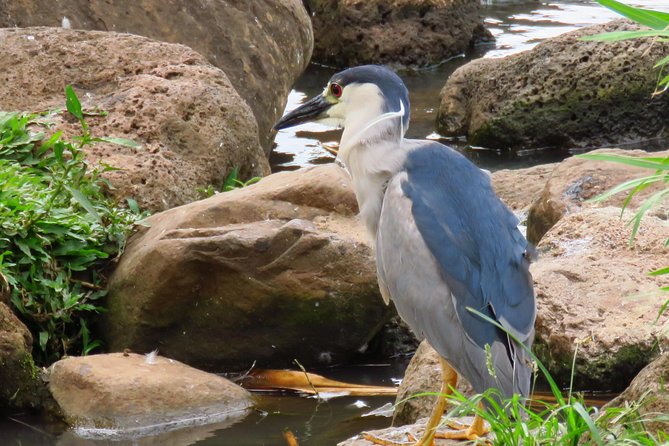 Private Shore Excursion: Best Highlights of Maui - Accessible for All