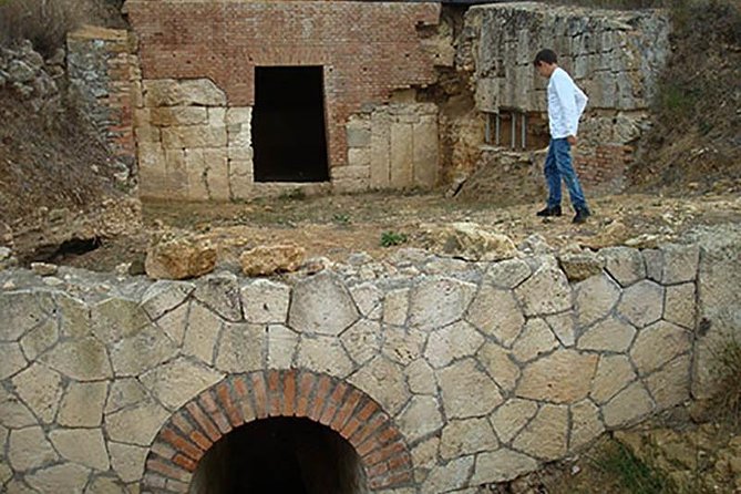 Private Shore Excursion From Civitavecchia Port to Etruscan Countryside - Transportation and Schedule