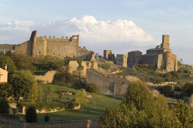 Private Shore Excursion From Civitavecchia Port to Etruscan Countryside - Admission and Accessibility