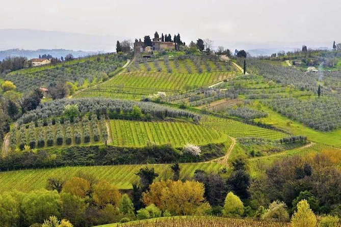 Private Shore Excursion From Livorno Port: Tuscany Highlights - Overview of the Experience
