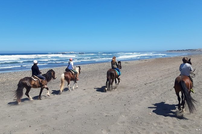 Private Shore Excursion From Valparaiso: Beach Horseback Ride & Viña Del Mar - Health and Safety Measures
