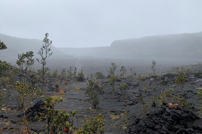 Private Shore Excursion - Hawaii Volcanoes National Park - Key Points