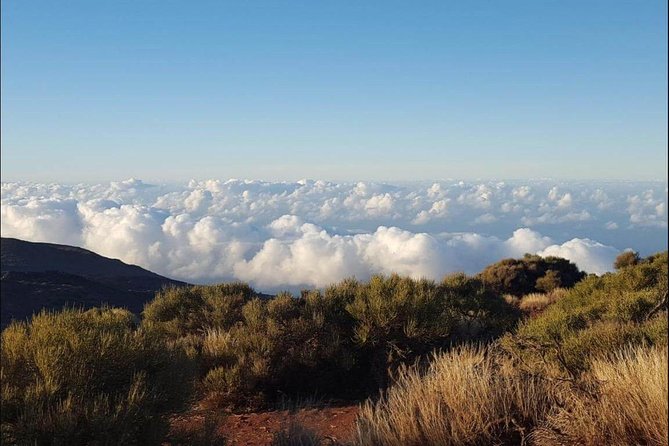 Private Shore Excursion in Tenerife From Your Cruise Ship - Inclusions and Pricing Details