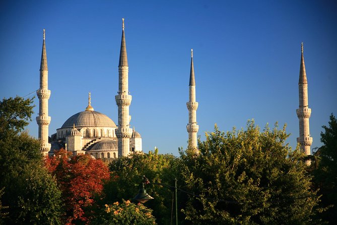 Private Shore Excursion Istanbul for Your Family - Whats Included