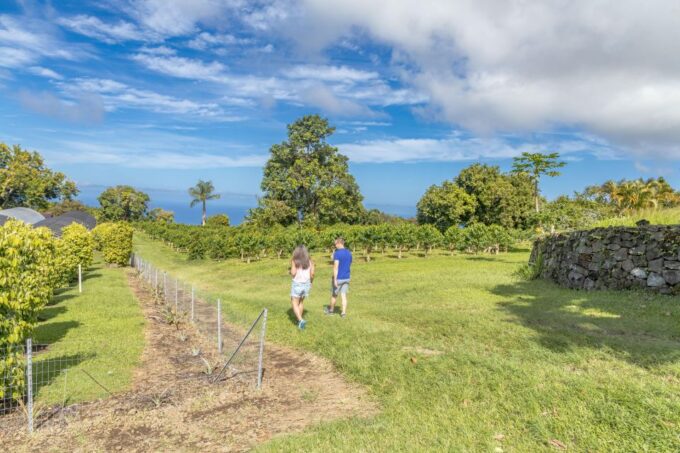Private Shore Excursion Kona Coffee & National Historic Park - Starting Point and Stops