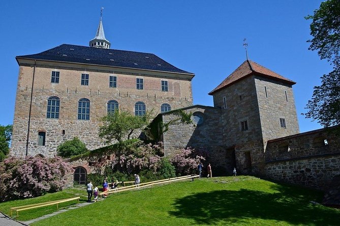 Private Shore Excursion: Oslo City Tour and Viking Ship Museum - Inclusions