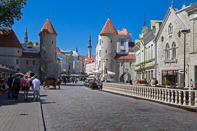 Private Shore Excursion: Panoramic Tour of Tallinn - Coffee Break Experience
