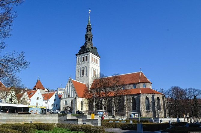 Private Shore Excursion: Panoramic Tour of Tallinn - Accessibility and Transportation