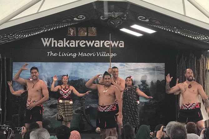 Private Shore Excursion Rotorua/ Tauranga Maori Culture, Geyser & Concert - Reviews and Pricing