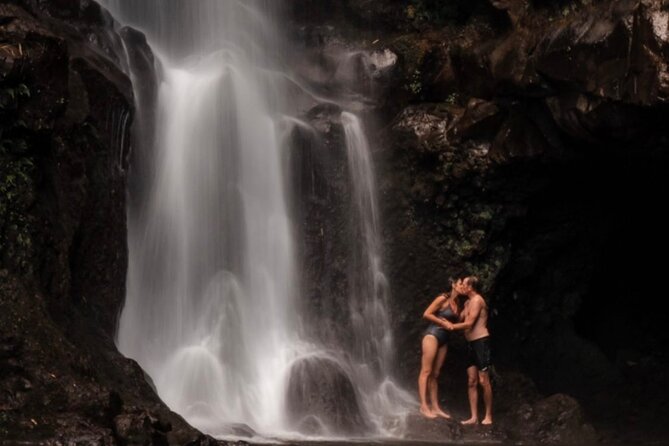 Private Shore Excursion: The Best of Maui - Pickup and Drop-off Convenience