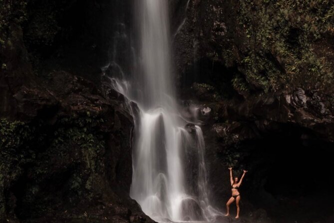 Private Shore Excursion: The Best of Maui - Accessibility and Accommodations