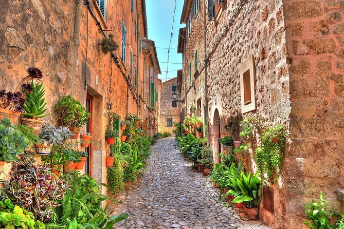 Private Shore Excursion to Valldemossa and Palma De Mallorca - Accessibility and Booking