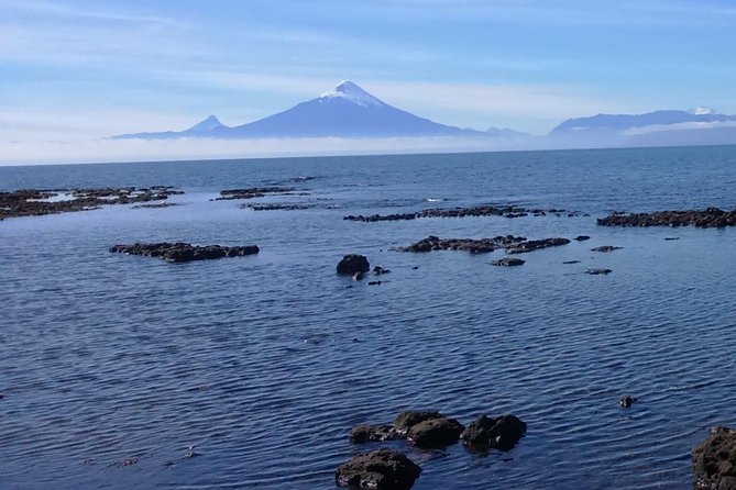 Private Shore Excursion Tour to Puerto Montt, Puerto Varas and Frutillar - Tour Overview and Highlights