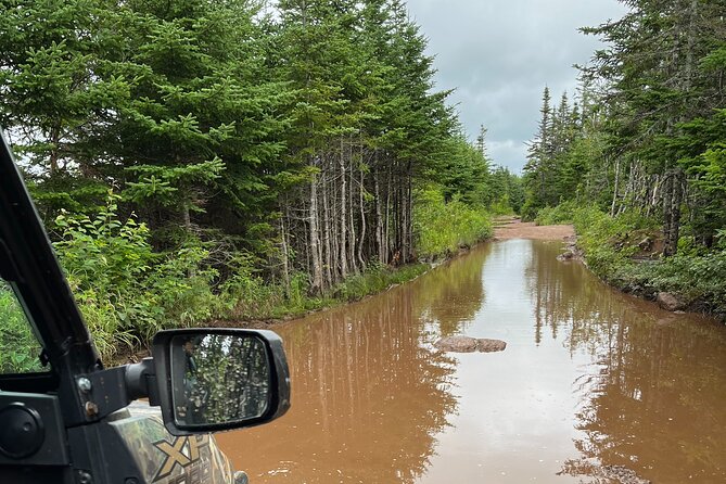 Private Shore Excursion UTV/ATV Side-by-Side Trail Tour - Private Tour Details