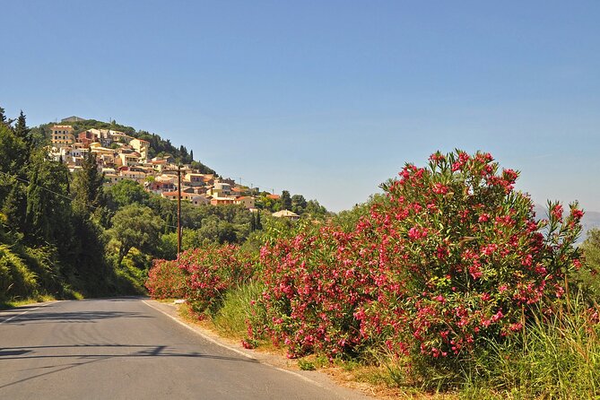 Private Shore Excursion Visit in Corfu With Transfer Included - Transportation Details