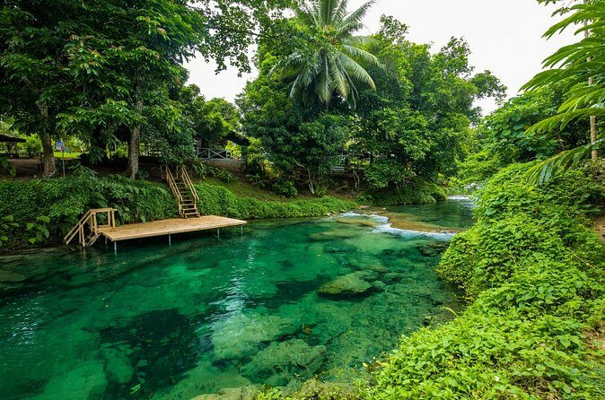 Private Shore Tour: Explore, Discover & Indulge in Port Vila - The Sum Up