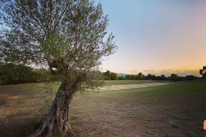 Private SHOREX Cultural Free Tour to Olympia &Agios Andreas Beach - Inclusions