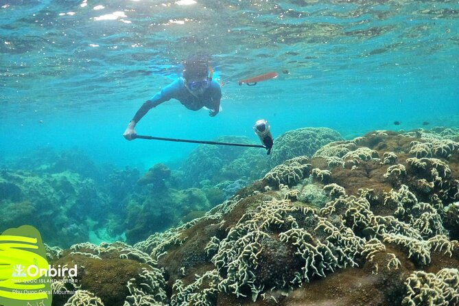 Private- Short Snorkeling at Coral Mountain & North-East Coral Reef by Speedboat - Suitability and Restrictions