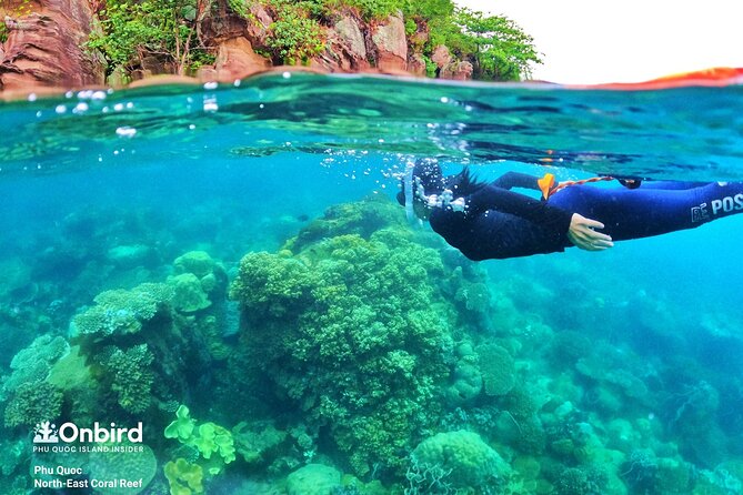 Private- Short Snorkeling at Coral Mountain & North-East Coral Reef by Speedboat - Customizable Itinerary