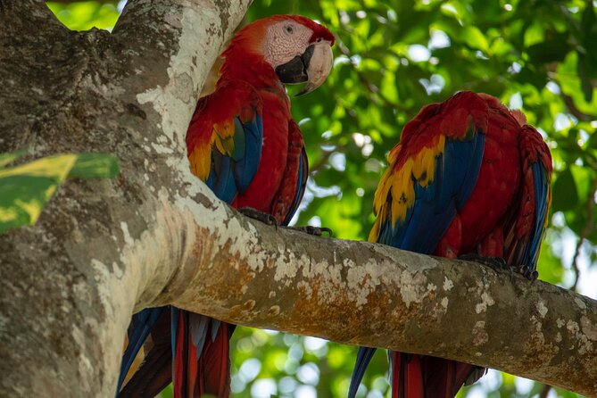 Private Shuttle: Arenal La Fortuna Costa Rica - Pickup and Drop-off