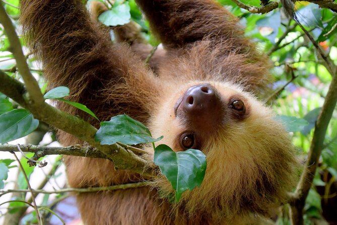 Private Shuttle: Arenal to Manuel Antonio (Viceversa) - Travel Preparation
