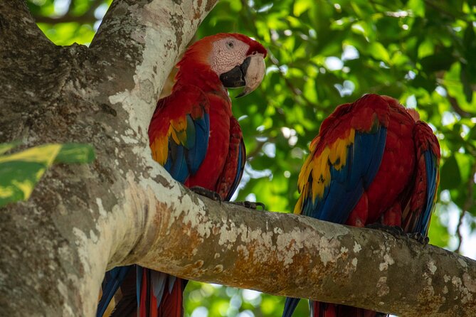 Private Shuttle: Arenal to Manuel Antonio (Viceversa) - Pickup and Drop-off