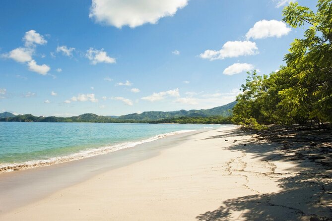 Private Shuttle From Liberia Airport To W Costa Rica Reserva Conchal - Customer Ratings