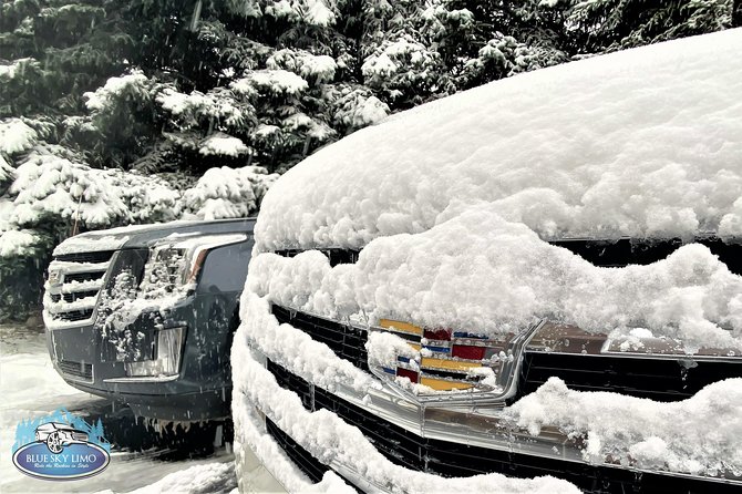 Private Shuttle Service From Eagle Vail Airport to Vail or Beaver - Destination Drop-off