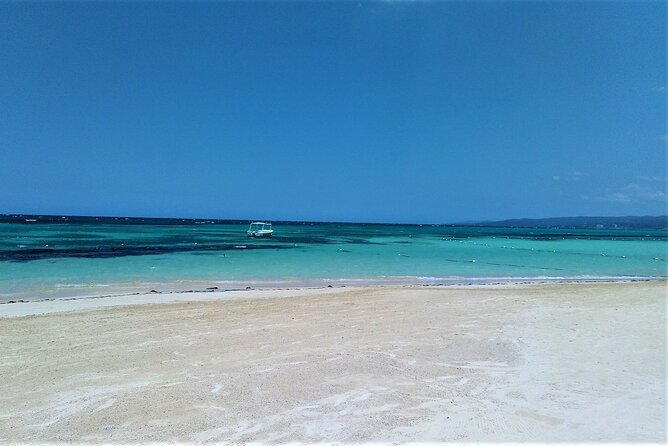 Private Shuttle to Bamboo Blu Beach Club From Ocho Rios - Shuttle Features