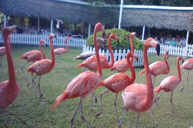 Private Shuttle to Cable Beach Hotels - Pickup and Drop-off