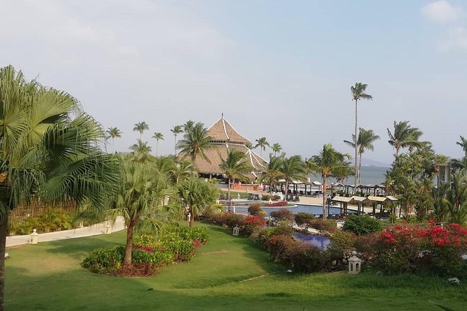 Private Shuttle to Riu Playa Blanca Rio Hato - Details of the Shuttle Service