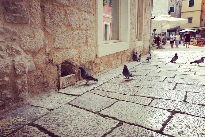Private Sibenik Walking Historical Morning or Evening Tour - Group Pricing