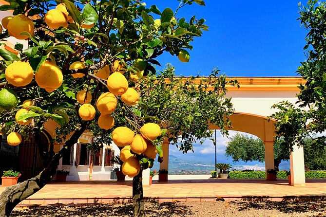 PRIVATE SICILY COUNTRYSIDE Exclusive Tour With Local Guide Starts From Palermo - Quick Points