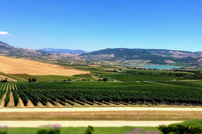 PRIVATE SICILY COUNTRYSIDE Exclusive Tour With Local Guide Starts From Palermo - Savor Olive Oil Tasting