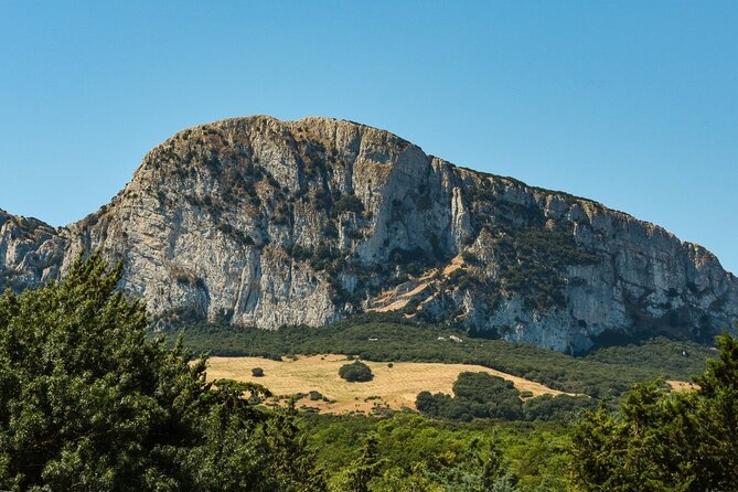Private Sicily Tour Beyond The Godfathers Shadow - Immersive Experiences Beyond the Godfather