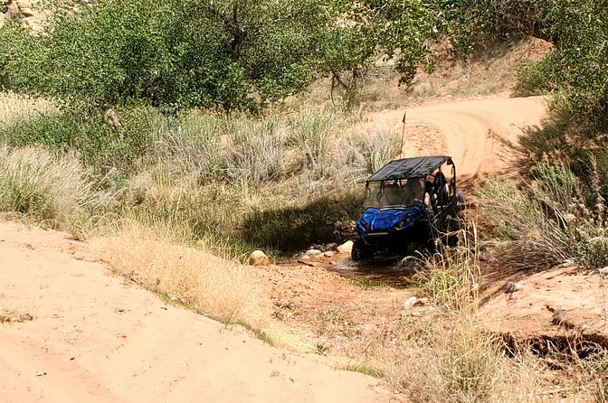 Private Side-by-Side Car Tour in Arch Canyon - Visit Butler Wash